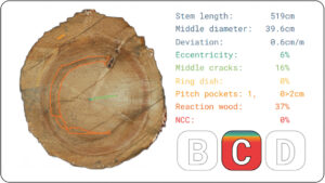 An explainable segmentation decision tree model for enhanced decision support in roundwood sorting