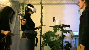 A Tree’s Perspective: Enhancing Nature Connectedness Through Transitional and Multisensory Virtual Reality Experiences